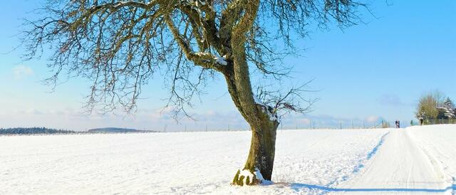 Foto: Guido Mayer
