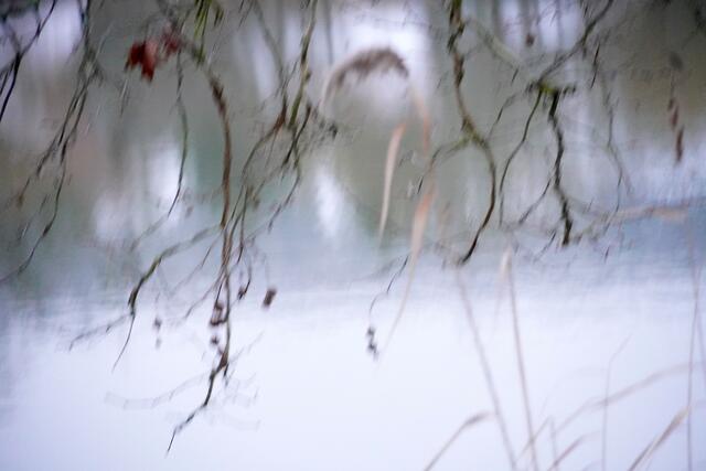 Poesie pur