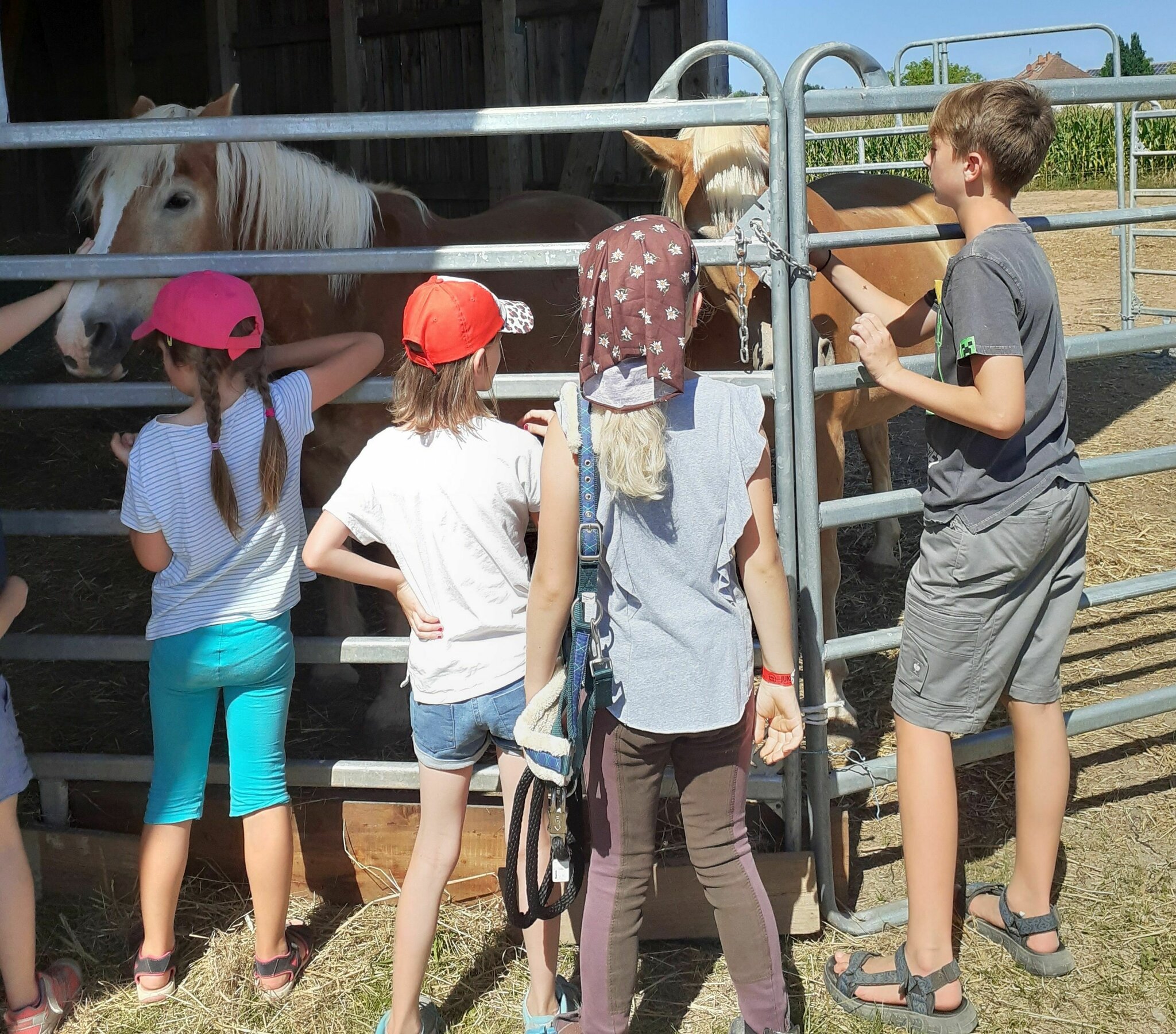 Wieder Kurs beim Caritas-Familienstützpunkt:: Kess erziehen ...