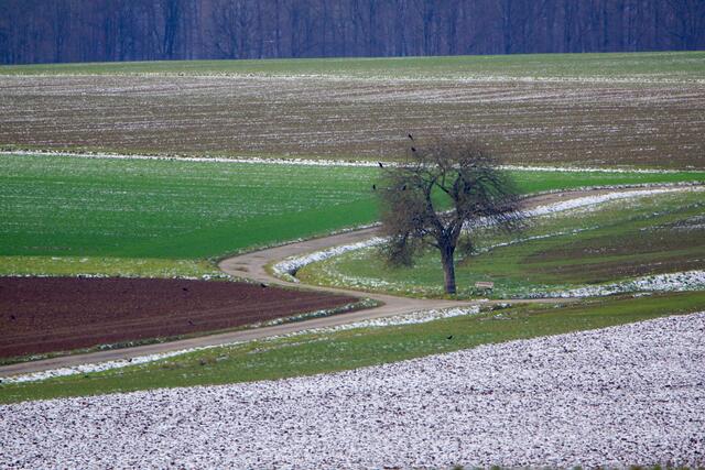 Im Odenwald bei Richelbach.