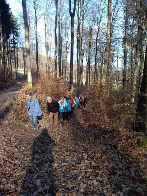 Auf dem Rückweg vom Heimatenhof | Foto: Ferdinand lang