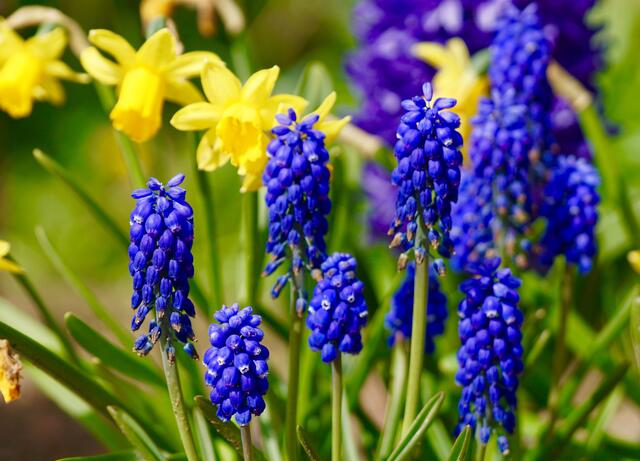 Endlich Sonne! Da freuen sich Flora, Fauna und wir Menschen!