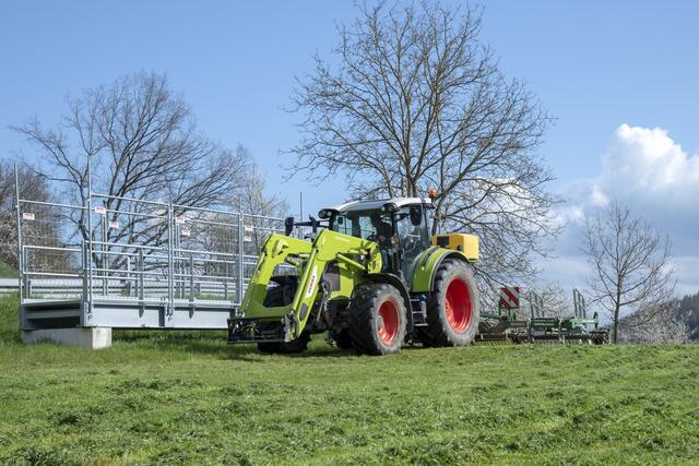 Blumenwiese im Crew Knüttel-S | Foto: Kurt Steigerwald