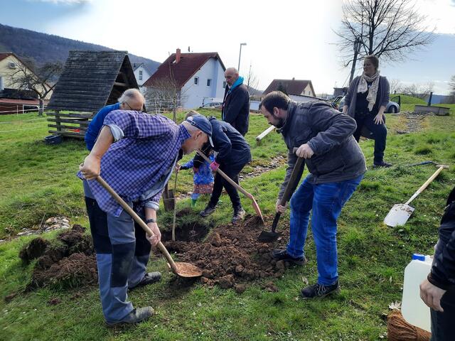Pflanzen unter Anleitung mit Mitgliedern aus dem Gartenbauverein. | Foto: privat