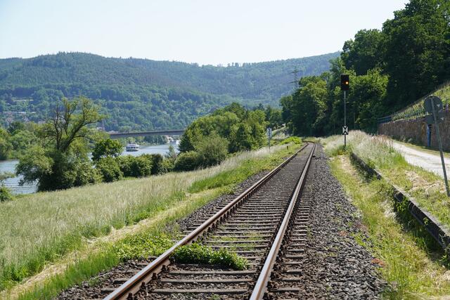 Was ist der richtige Weg in meine Zukunft?