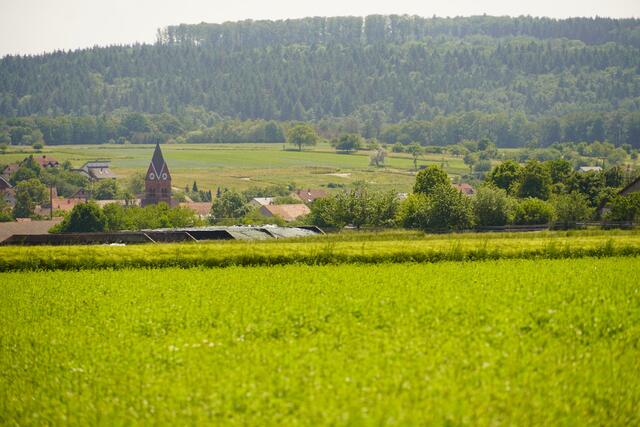 Blick auf Richelbach.