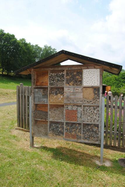 Schulgarten der Grundschule Kirchzell | Foto: Andrea Kaller-Fichtmüller