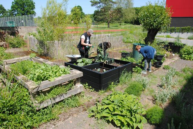 Hermann-Staudinger-Gymnasium in Erlenbach  | Foto: Andrea Kaller-Fichtmüller