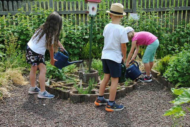 Beim Pflegen der Kräuterspirale helfen die Kinder der Grundschule Kirchzell fleißig mit und gießen die Pflanzen. | Foto: Andrea Kaller-Fichtmüller