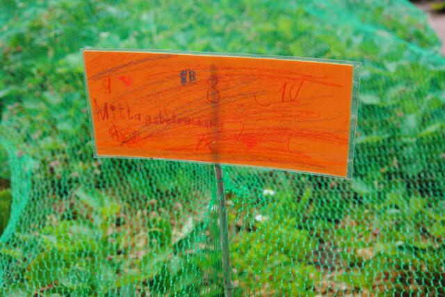 Schulgarten der Grundschule Kirchzell | Foto: Andrea Kaller-Fichtmüller