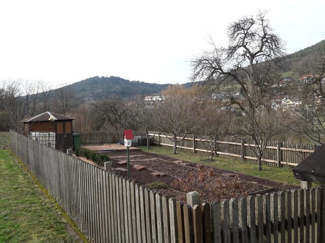 Schulgarten der Grundschule Kirchzell | Foto: Landratsamt Miltenberg
