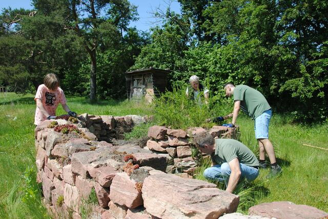 Hermann-Staudinger-Gymnasium in Erlenbach  | Foto: Andrea Kaller-Fichtmüller