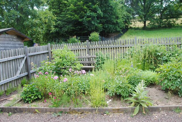 Schulgarten der Grundschule Kirchzell | Foto: Andrea Kaller-Fichtmüller