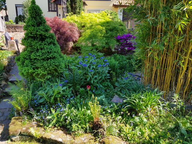 Garten von Heidrun und Udo Dreiseitel in Kirchzell | Foto: Landratsamt Miltenberg
