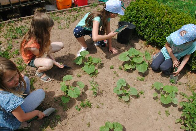 Schulgarten der Grundschule Kirchzell | Foto: Andrea Kaller-Fichtmüller