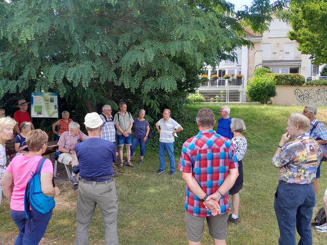 Am Rondell | Foto: Ferdinand Lang