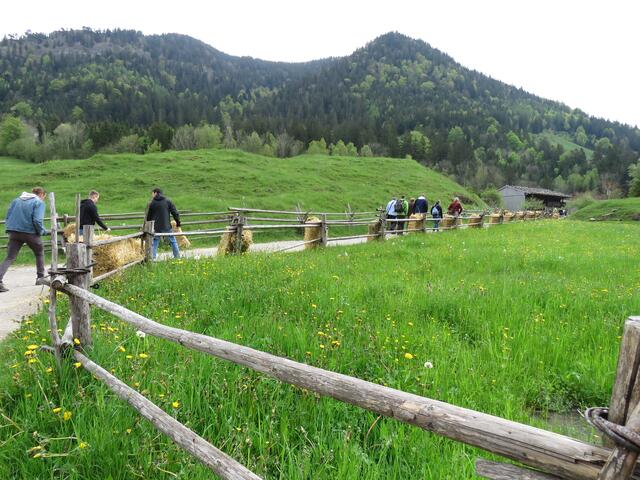 Die Gruppe unterwegs zum Markus Wasmeier Freilichtmuseum bei Schliersee. | Foto: THW Miltenberg 