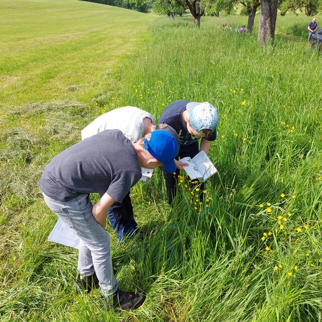 Wiesenforscher bei der Arbeit | Foto: Ruthard Ulrich