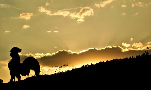 Foto: Guido Mayer