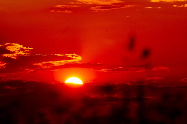 Die derzeitige Hitze und der Klimawandel überhaupt setzt allen Lebewesen zu. Die Folgen zeigen sich überall. Grund genug, darauf zu reagieren!