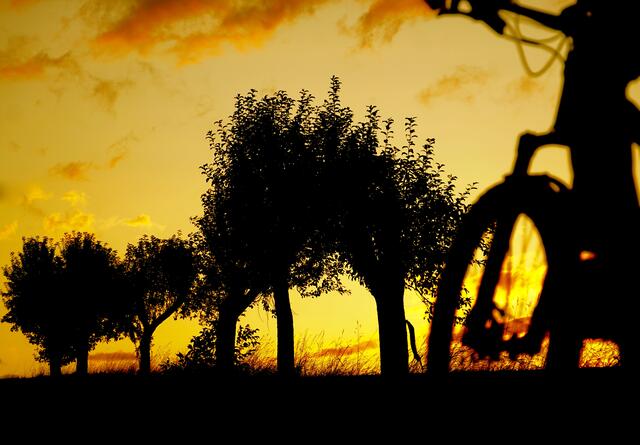 Wir sind ein wahres Urlaubs-Paradies: wo andere für wenige Tage rasten, wohnen wir jahrein jahraus.