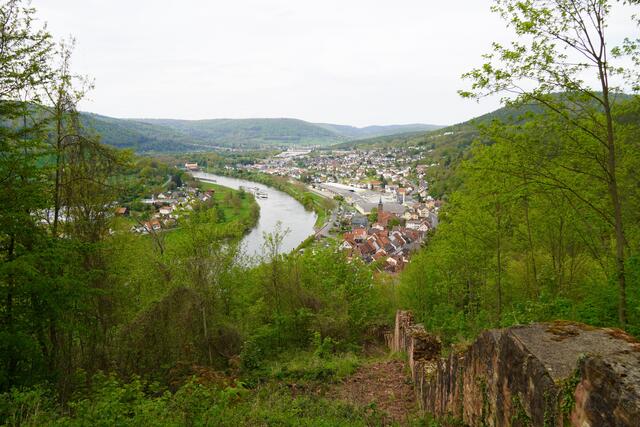 Blick auf das Maintal mit Freudenberg und Kirschfurt.