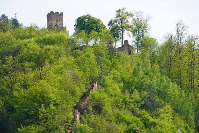 Die Freudenburg und ihr steiler Aufstieg. Doch die Mühen lohnen sich.