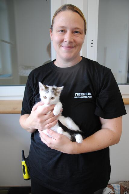 Vanessa Müller, Leiterin des Tierheims Kleinheubach mit einem Babykätzchen, das stellvertretend ist für derzeit 75 Katzen verschiedenen Alters die im Tierheim leben. Viele davon wild lebende Fundtiere, manche auch einfach ausgesetzt.