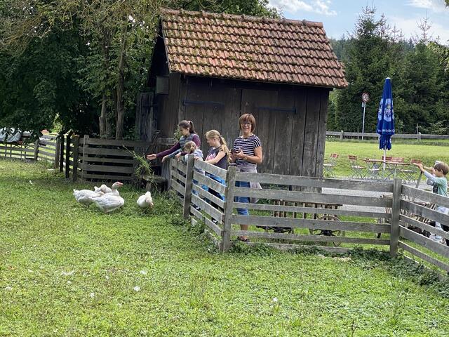 Auch die Gänse bekommen was | Foto: Bürgerliste Schneeberg