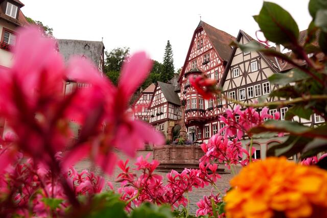 Miltenbergs wohl schönste Ansicht: der historische Marktplatz.