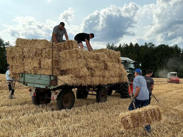 Strohballen für WENSCHDORF FILMREIF Freiluft- und Bulldog-Kino 4.0 am 9. September 2023 | Foto: Musikverein Odenwälder Trachtenkapelle Wenschdorf-Monbrunn e. V.