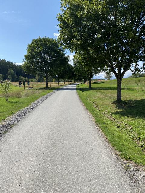 Weg Richtung Parkplatz/Restaurant 