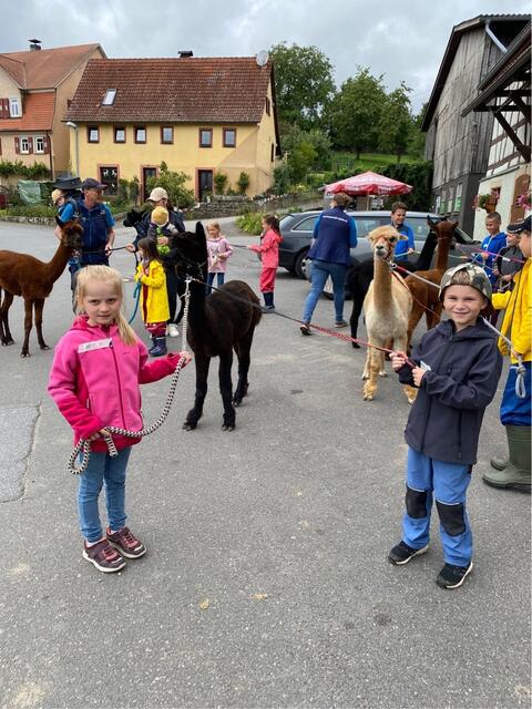 Foto: kfd Ballenberg-Unterwittstadt
