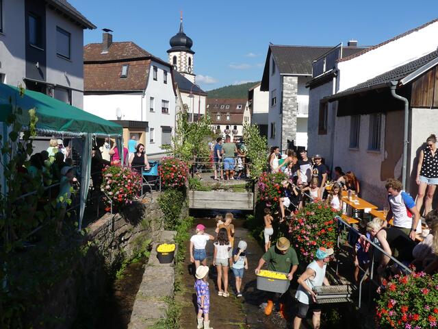 Foto: Fam. Weidner, OGV Laudenbach