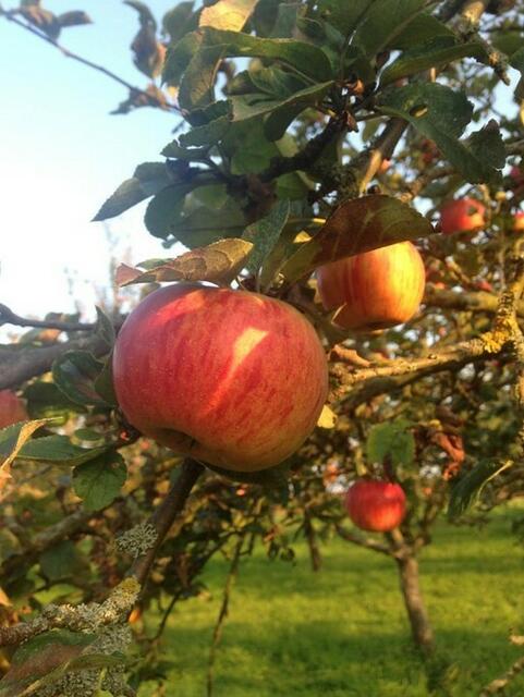 Foto: SLH Hobbach