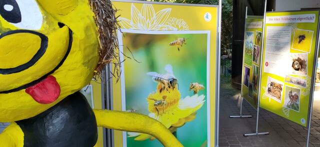 Die Wanderausstellung Bienen und Wespen in der Aktionsscheune | Foto: SLH Hobbach
