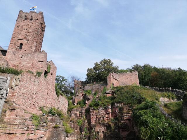 Burg Wertheim | Foto: Brigitte Hartung-Bretz