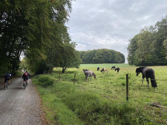 oberhalb von Volkersbrunn | Foto: Christian Hahn
