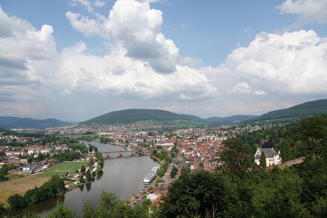 Blick auf Miltenberg.