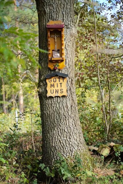 
Der Herbst spricht uns in der Tiefe unseres Wesens an. Zuweilen ängstig er uns. Er fragt uns, wie wir es halten mit dem vollen Leben und dem Rückzug aus diesem Leben.