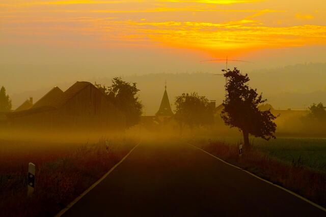 Foto: Roland Schönmüller