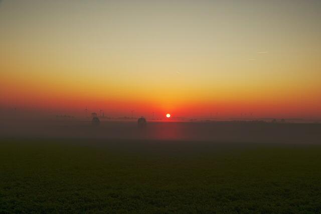 Foto: Roland Schönmüller