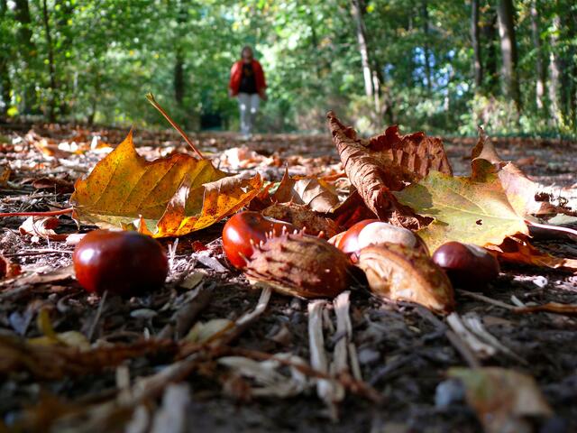 Foto: Roland Schönmüller
