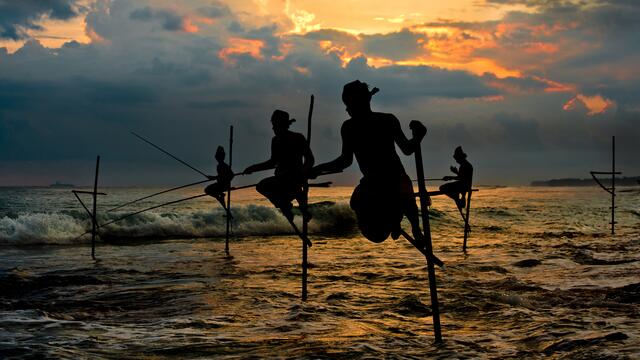 Die Stelzenfischer. Erfahren Sie mir beim Vortrag am 22.11.2023 in der Realschule Miltenberg. | Foto: Udo Herrmann