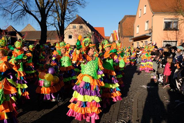 Impressionen vom Kreis-Karnevalsumzug im Jahre 2018 in Niedernberg. | Foto: Steffen Sollorz