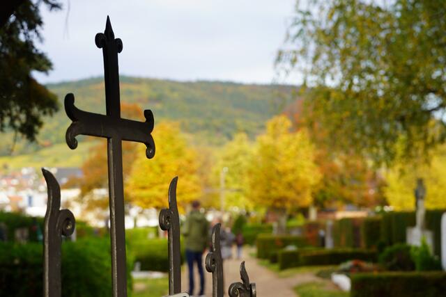 Miltenberger Hauptfriedhof an Allerheiligen