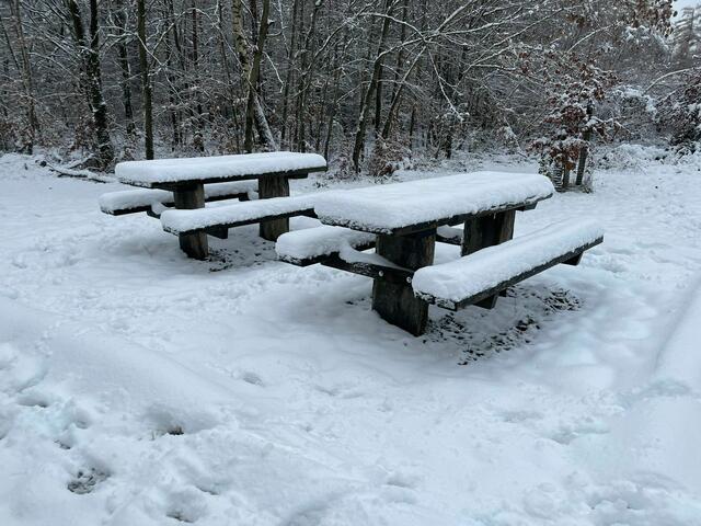 Foto: Reinhard