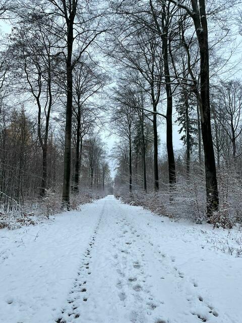 Foto: Reinhard