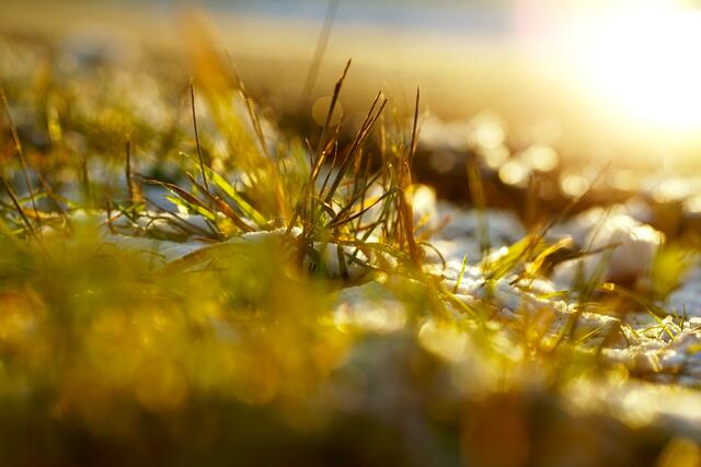 Faszination Wintermorgen 