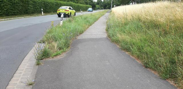 Ein Fahrrad-Piktogramm auf die Straße. Das soll für Radfahrer genug sein? | Foto: Wolfgang Giegerich
